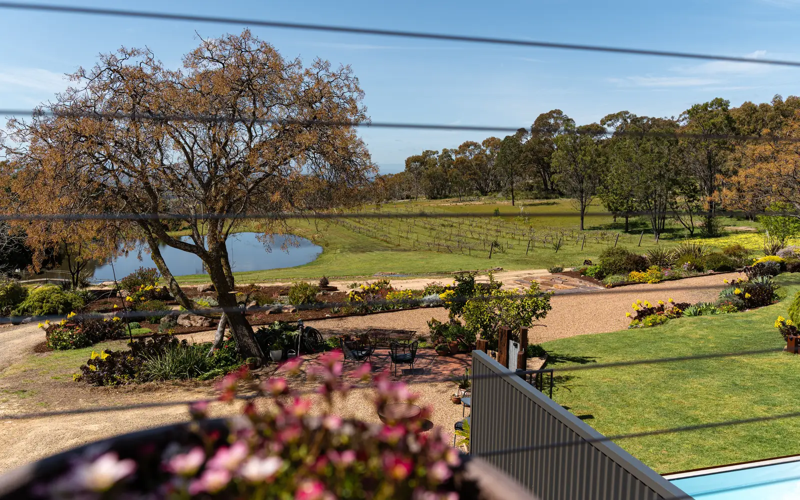 The view over the garden beds to the dam and the plains